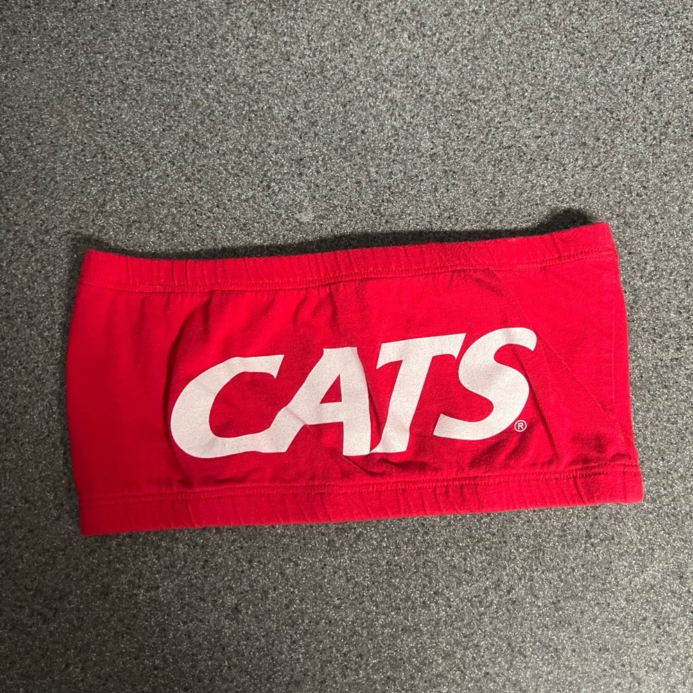 University of Arizona bandeau
